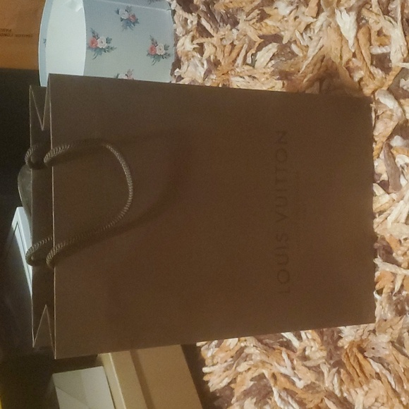 Louis Vuitton Gift Bag - Picture 1 of 3